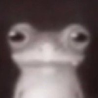 k@ (@limechipfiend) 's Twitter Profile