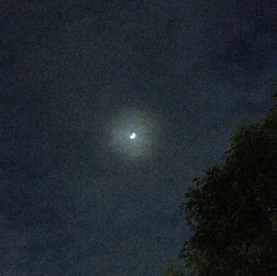 夜を越えてさんのプロフィール画像