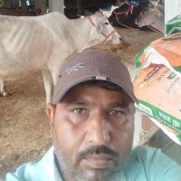 Kamal Singh (@kamalsingh33164) 's Twitter Profile