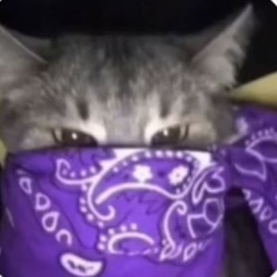 𝟙𝟚𝟠 𝕊𝕠𝕔𝕚𝕒𝕝 ℂ𝕝𝕦𝕓. recovering sex addict. retired from clicking heads