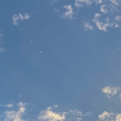 An0ud77's profile picture. Fresh graduate Artificial intelligence