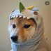 M (@pawismyfav) Twitter profile photo M (@pawismyfav) Twitter profile photo