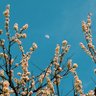 jinukichi's profile picture. 키치의 책다락(2009~)