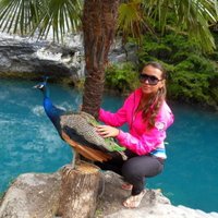 Heather (@h_pollock13) 's Twitter Profile