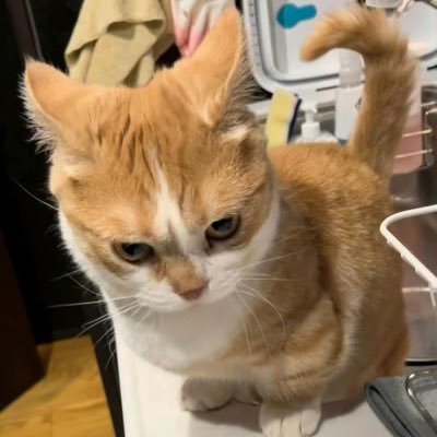 vio_olettanie's profile picture. 