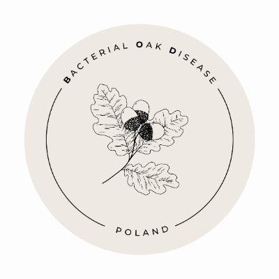 DiseaseOakPL's profile picture. We are a Polish research group working at the Forest Research Institute @IB_LES, dealing with bacterial diseases of oaks #BOD #AOD