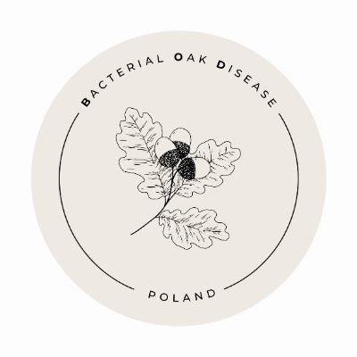 We are a Polish research group working at the Forest Research Institute @IB_LES, dealing with bacterial diseases of oaks #BOD #AOD