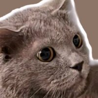 earayu (@earayu) 's Twitter Profile