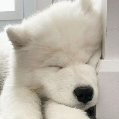 (´ ▽｀).。ｏ♡