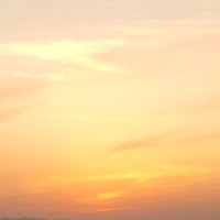 しまちゃんω しまだ (@go2stx) 's Twitter Profile