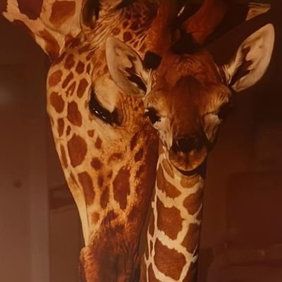 And_a_chinadoll's profile picture. Intercontinental ballistic wiffle ball games at my dad's upstate house