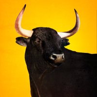Juan Iranzo (@juaniranzosoler) 's Twitter Profile