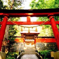 丹内山神社 (@tannaiiwate) Twitter profile photo