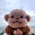 子猿@レンタル肝試しに一緒に行ってくれる猿🐵 (@rentalhorror) Twitter profile photo 子猿@レンタル肝試しに一緒に行ってくれる猿🐵 (@rentalhorror) Twitter profile photo