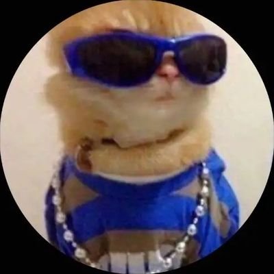 heyyyitsfa's profile picture. 2022 | Don't try, just do it !