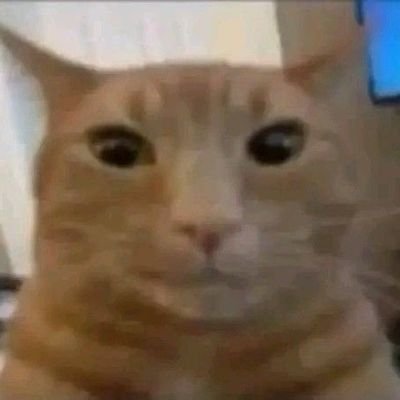 Cuchufli0_0's profile picture. 