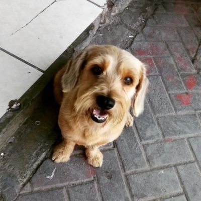 LaKannitaさんのプロフィール画像
