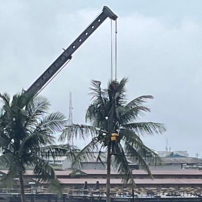 the_slimbim's profile picture. Retired…