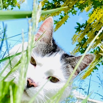 Tenaj777's profile picture. 