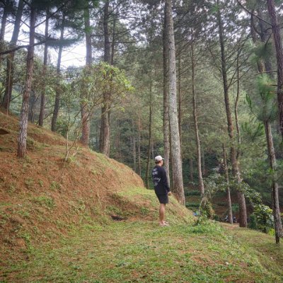 megamendung04's profile picture. 