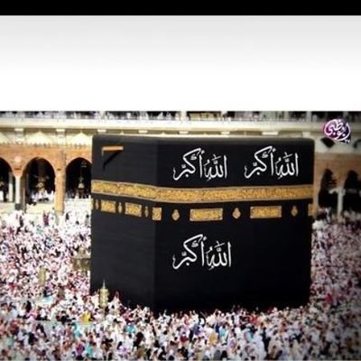 BagwikozeH's profile picture. A humble person who respect every 1 Email bagwikozehamza@gmail.com +27634465111 WhatsApp @Hamza54979536👈old A/C suspended PLZ follow me do not DM Bitcoin