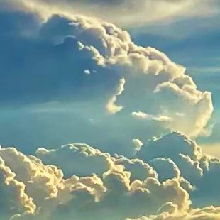 LuAS7F8NEdzVOZk's profile picture. 日本に生まれてよかったと思える日本に！気がつけばほぼRT…無言フォロー失礼します。初代ブレードランナー、遊星からの物体X、攻殻機動隊、大友克洋AKIRA、アレハンドロホドロフスキー、問わず語りの神田伯山