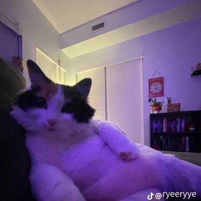 MyCatAteWaffles's profile picture. be bored asf

I LOVE MY BF🫶🏼