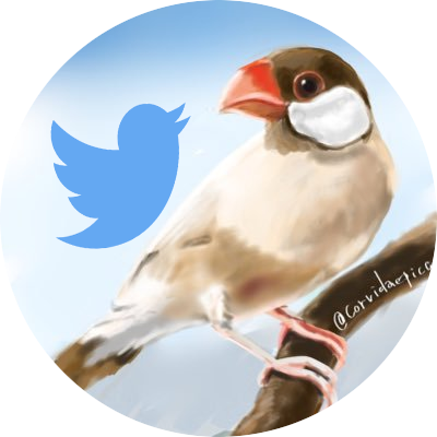 suzumemaru1's profile picture. 日本にも平和の少女像を🇰🇷🇰🇵ヘッダー画像は@chounamoulさんからお借りしています。アイコン画像は@corvidaepica画伯によるうちの文鳥さんです。🏳️‍⚧️🏳️‍🌈 @akairo@mastodon.social