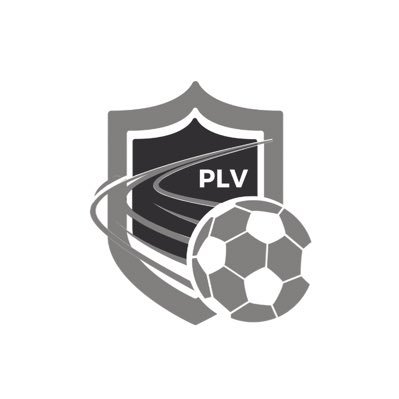 Pro Level Vision Profile