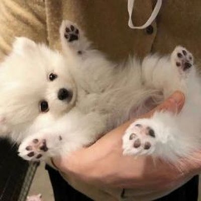 kyM1753171's profile picture. 