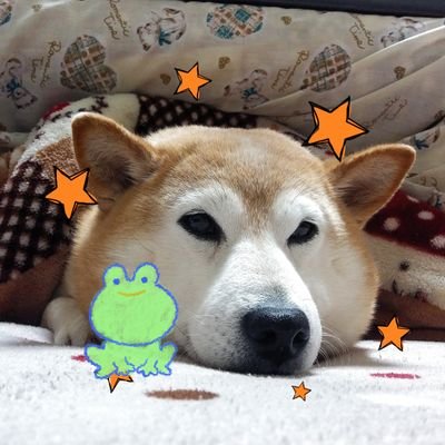 りほほほぉ↗🐸天の才🐸りっぽこさんのプロフィール画像
