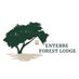 Entebbe Forest Lodge (@ebbforestlodge) Twitter profile photo Entebbe Forest Lodge (@ebbforestlodge) Twitter profile photo