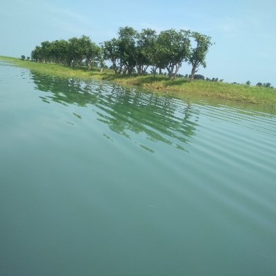 Shibli_Ar's profile picture. Chittagong