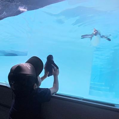 chacha5569's profile picture. lynch./MUCC/HAZUKI/逹瑯/DIR EN GREY
低浮上中。