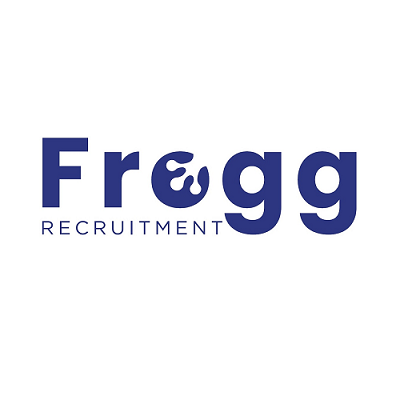 FROGG Recruitment SA Best Recruitment in Permanent and Contract Placements Recruitment Agencies in Cape Town, South Africa