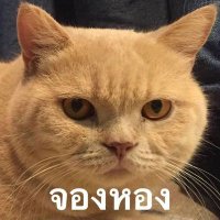 เก้ว 🍭 (@mou505) 's Twitter Profile Photo เก้ว 🍭 (@mou505) 's Twitter Profile Photo