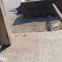 han (@han23507063) Twitter profile photo