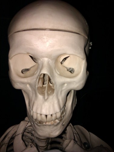 RossHubert's profile picture. 