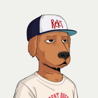 Rekt Dogs Community 🐶🟣 (@rektdogscomm) 's Twitter Profile