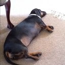 michel jacques - @micheljacques5 - Twitter