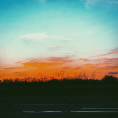 sairagi_20's profile picture. 彩羅木 蒼(さいらぎ あおい)と申します。プログラミング学習、小説執筆と並行してメディアアートにも挑戦中です。創作が好き。