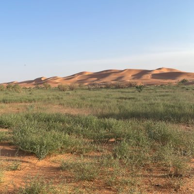 اللهم احسن عاقبتنا في الأمور كلها وأجرنا من خزي الدنيا وعذاب الآخرة