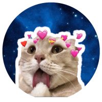 𝒀𝒂𝒔~𝒀𝒂𝒔 💖(@ArvDra) 's Twitter Profile Photo