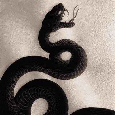 CHZXINAO's profile picture. 