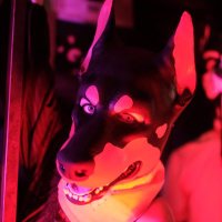 🎀 A heckin’ good and breedable girl 🎀 (@softest_dobie) 's Twitter Profile