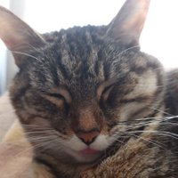 Via (@iratiris) 's Twitter Profile