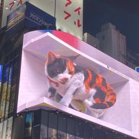目イケ (@takataka7734) 's Twitter Profile