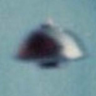 I’ve been following the UFO subject since the late 90’s / #ArtBell / #XFiles days! I’ve seen UFOs. #UFOtwitter