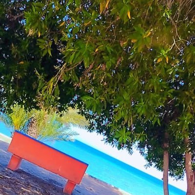 beauty90000001's profile picture. بالدنيا عابرون