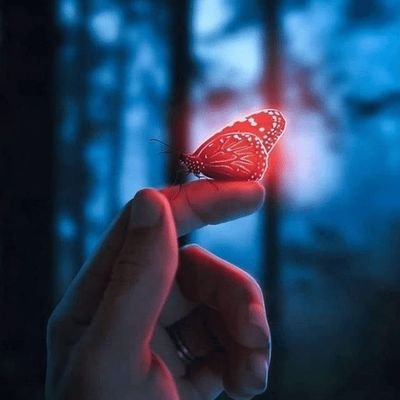 pk4070610's profile picture. ✨Talents that even God cannot give🍃...Our ability is revealed only when opposed by powerful opponents✌️....